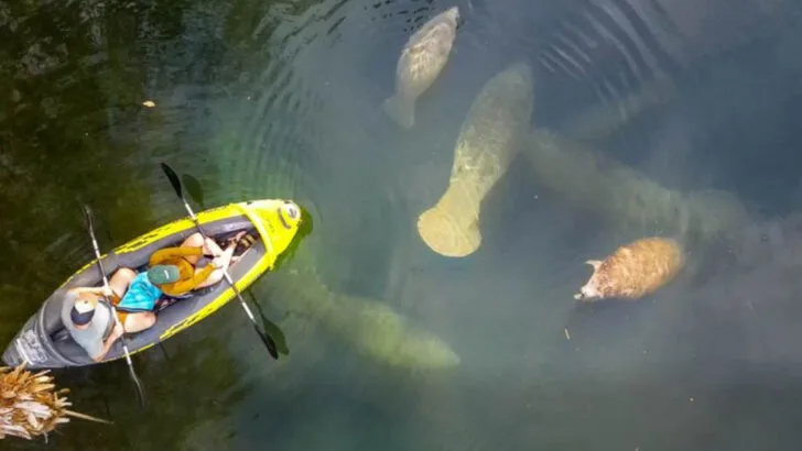 Tucked beside the Everglades, this Florida city is a hidden hub for Gulf Coast adventure