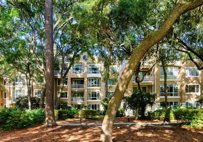 Hilton Head's Native Beauty