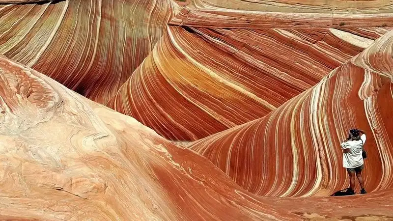 Explore the Wave (Vermilion Cliffs Wilderness)