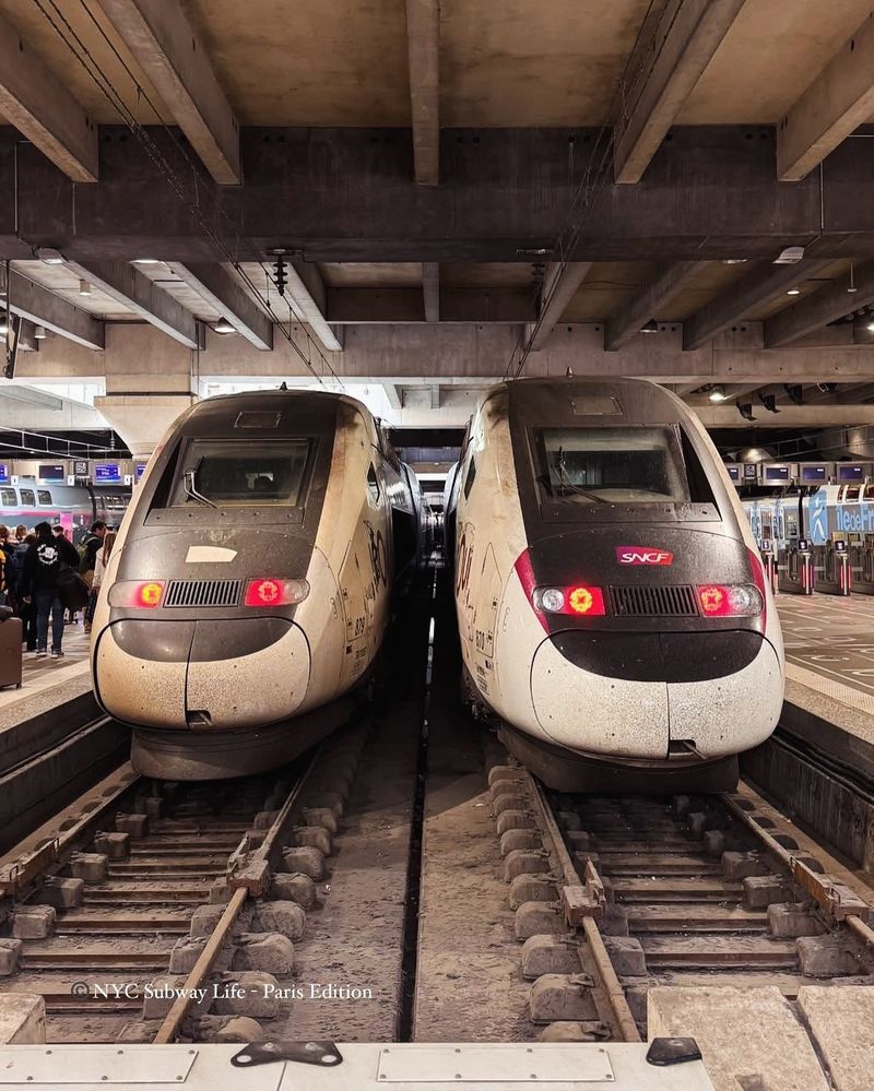 Not validating your train or bus ticket before boarding