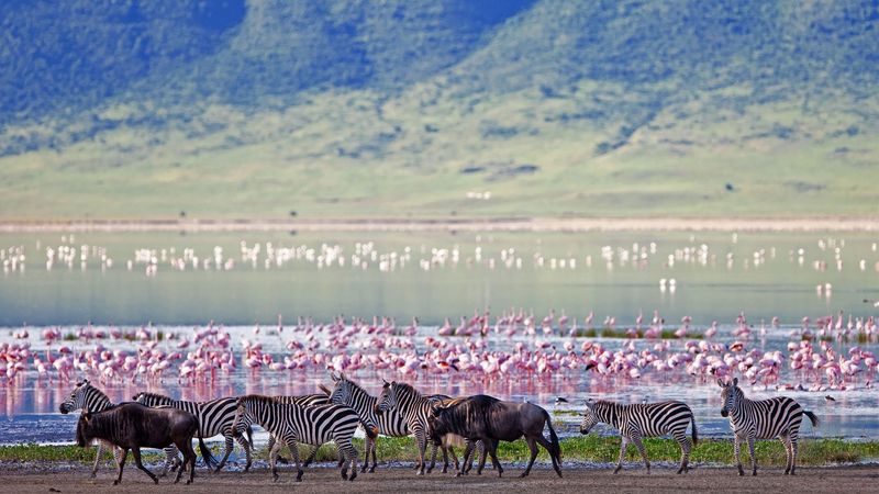 Ngorongoro Crater, Tanzania