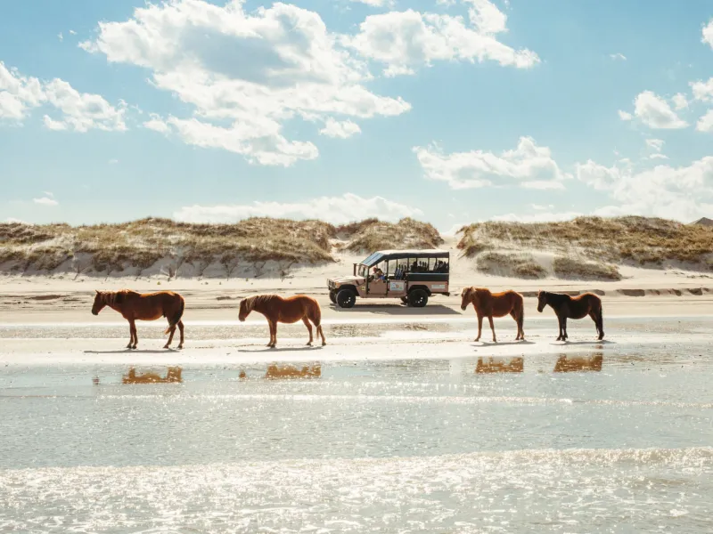 Corolla & Duck, North Carolina (Outer Banks)