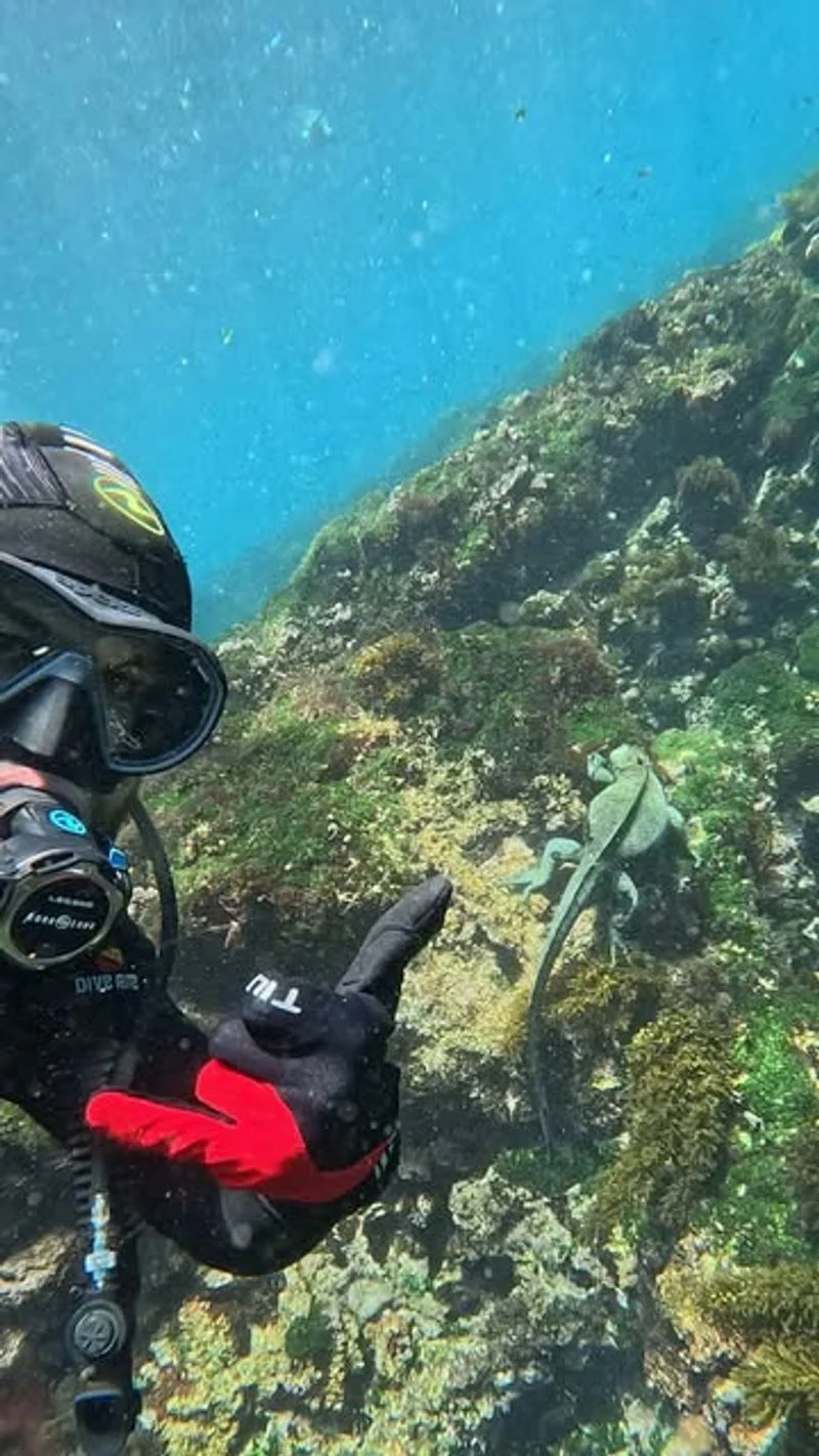 Myrtle Beach, South Carolina