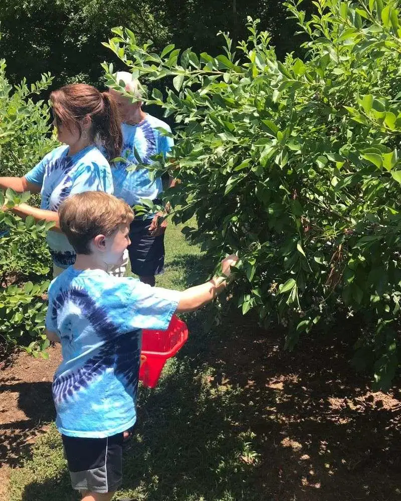 Pick-Your-Own at a Tennessee Berry Farm