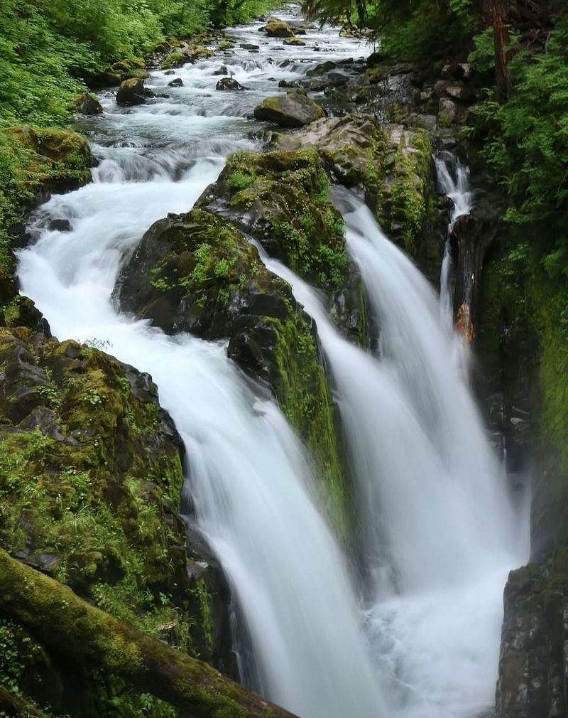 Explore Sol Duc Falls