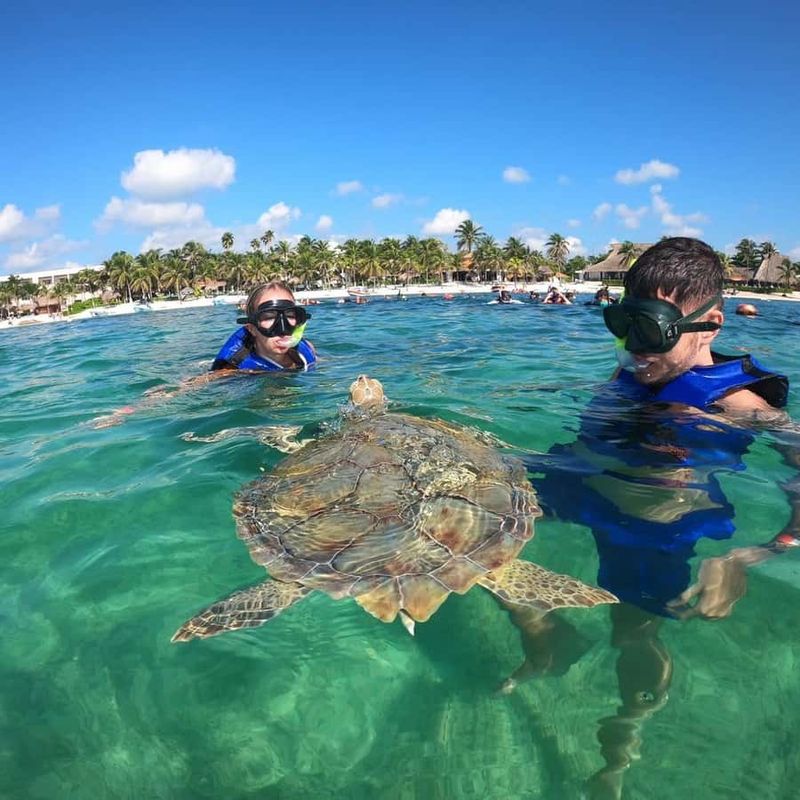 Snorkeling at Akumal Beach