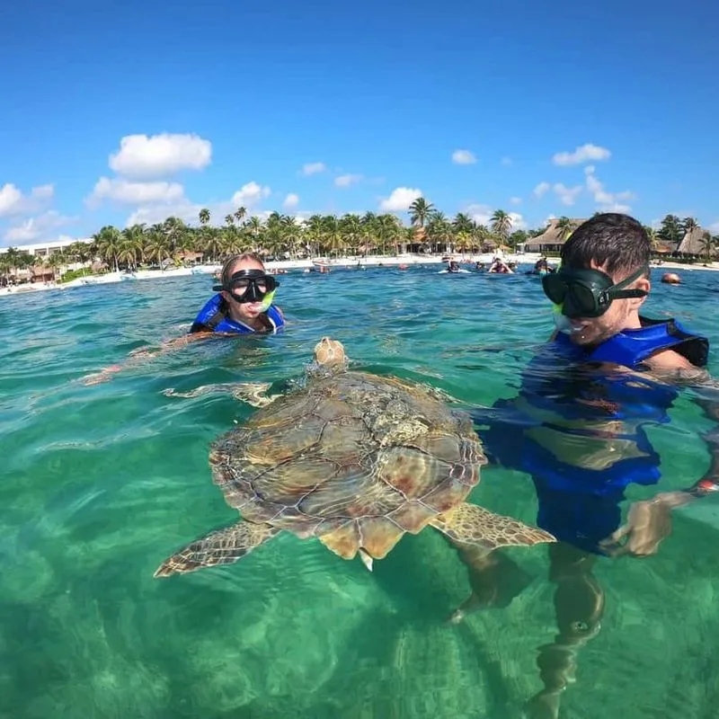Snorkeling at Akumal Beach