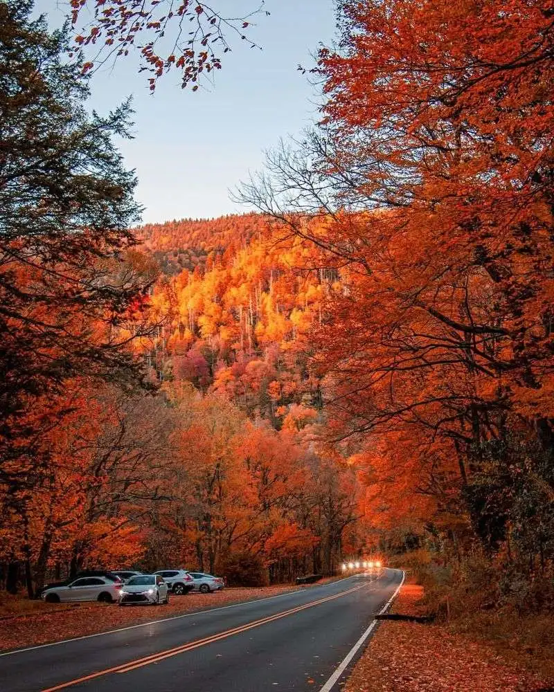 Catch Fall Color from the Gatlinburg Bypass