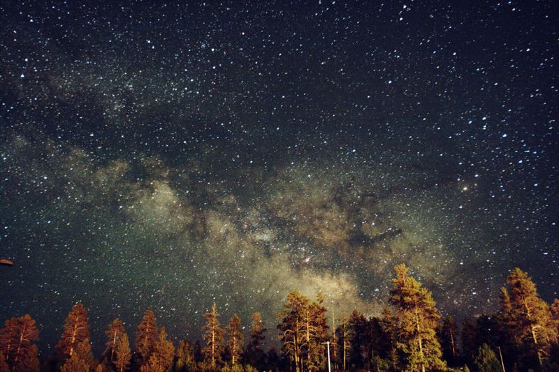 Stargaze Near Ozette Lake