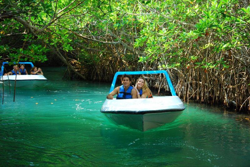 Go on a Jungle Tour