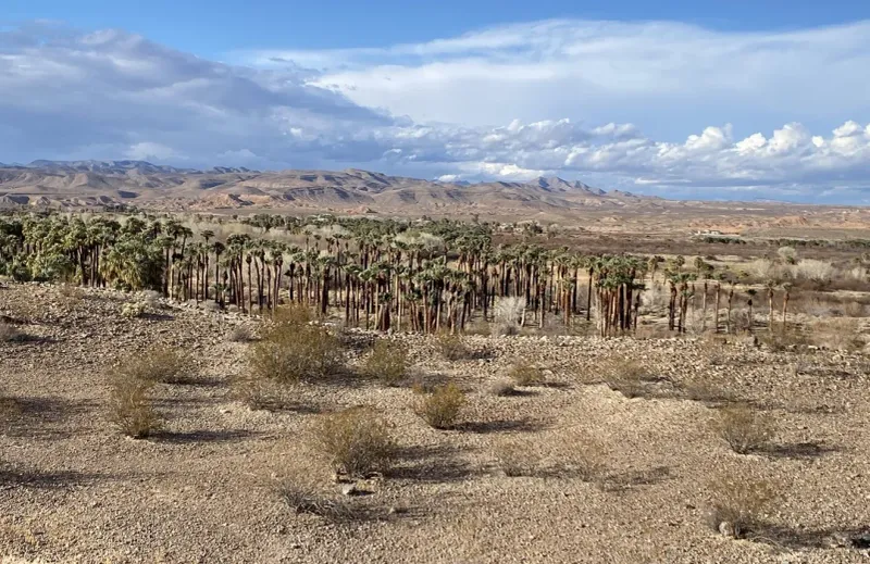 Explore the Moapa Valley Wildlife Refuge