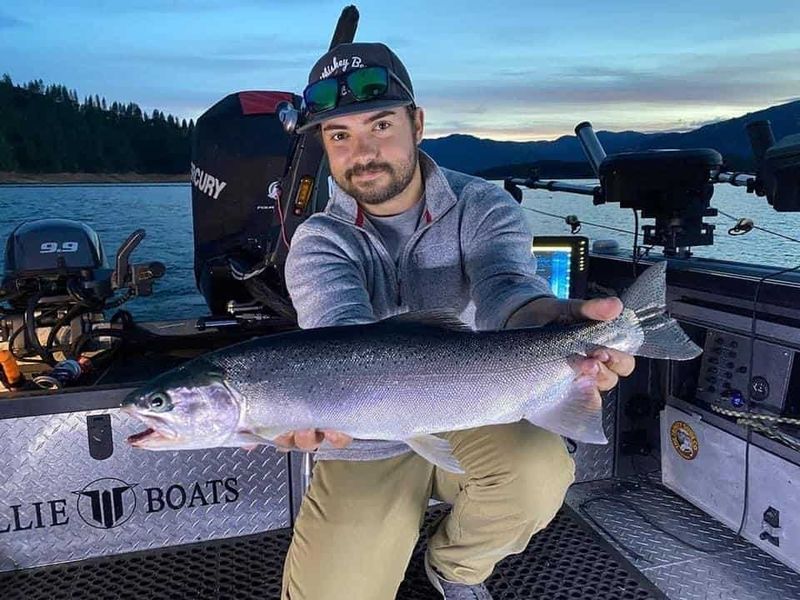 Try Shasta Lake's Night Fishing