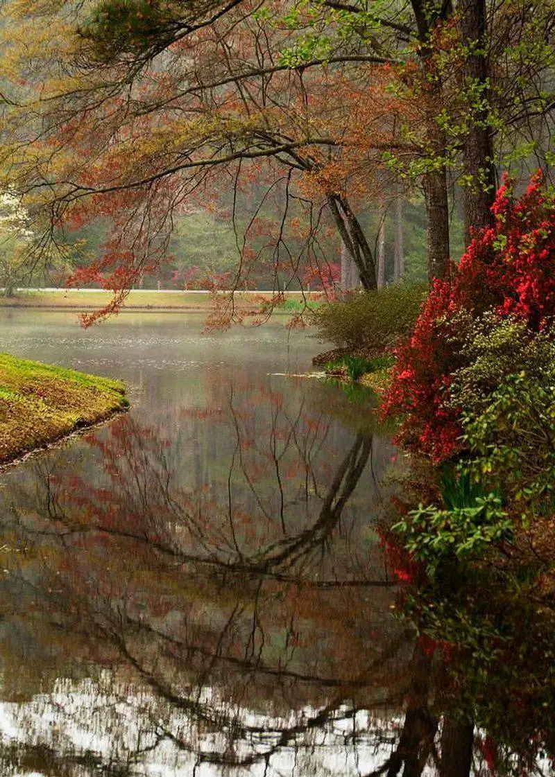 Georgia on My Mind - Georgia, USA