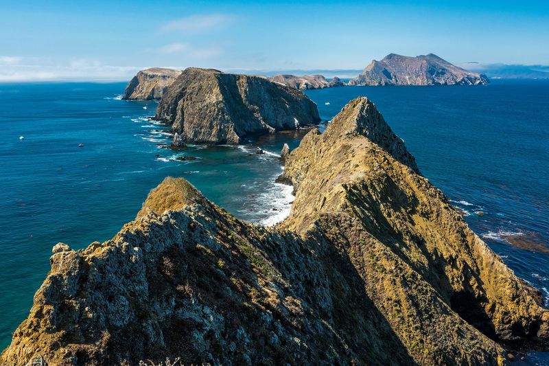 Channel Islands National Park, CA – Coastal Sage Scrub and Endemic Blooms
