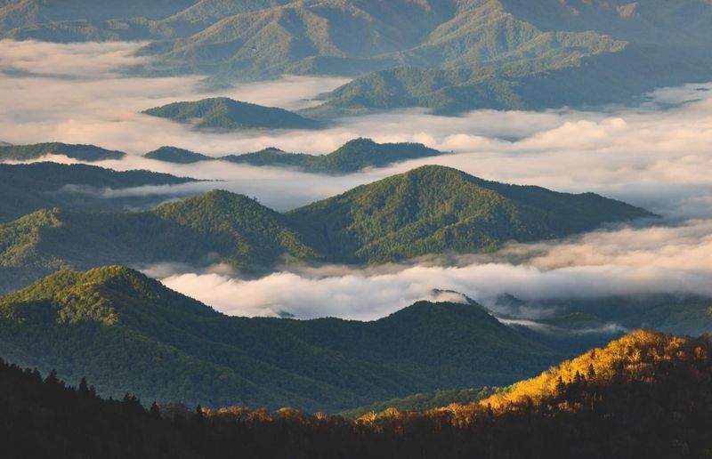 Great Smoky Mountains National Park, Tennessee/North Carolina