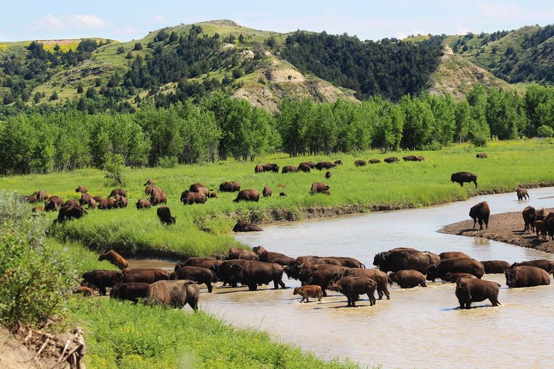 Theodore Roosevelt National Park, North Dakota