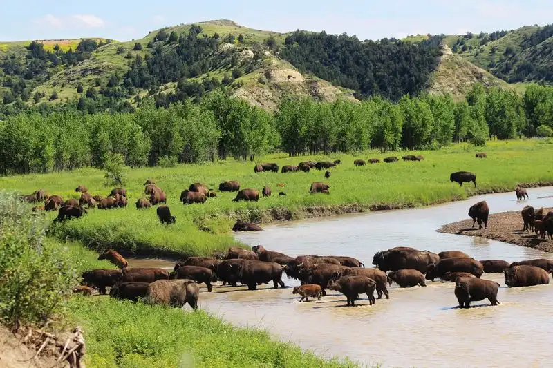 Theodore Roosevelt National Park, North Dakota