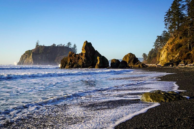 Drive the Olympic Peninsula Loop