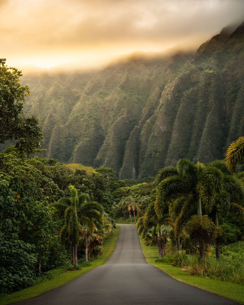 Discover Native Hawaiian Plants at Ho‘omaluhia Botanical Garden (Oahu, HI)