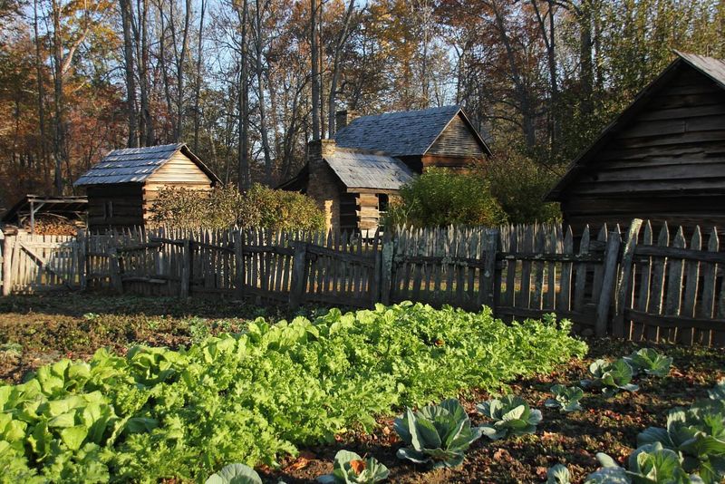 Visit the Native Plant Garden at Sugarlands Visitor Center