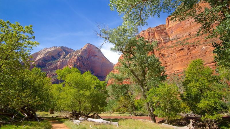 Enjoy a Picnic at the Grotto