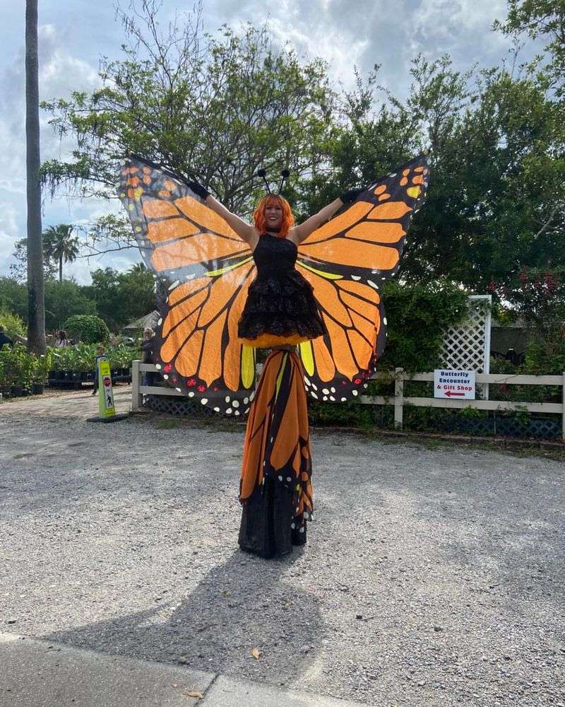 Browse Rare Plants at Lukas Nursery & Butterfly Encounter