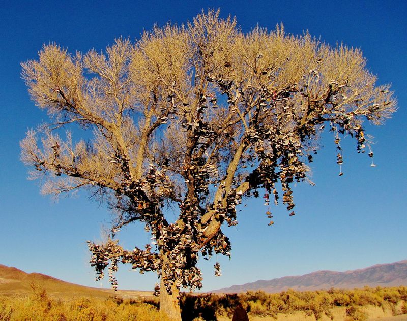 The Shoe Tree, Nevada
