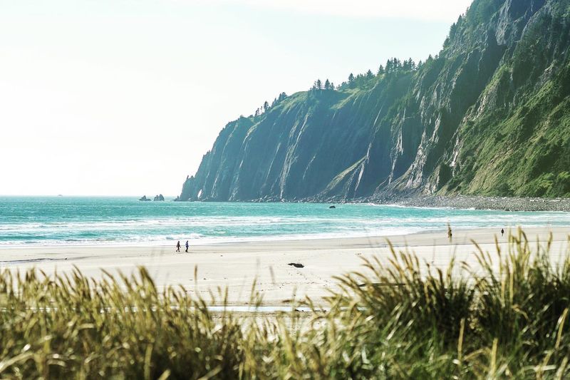 Manzanita, Oregon – Wind-Pruned Pines and Herb-Lined Cafes