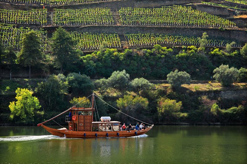 Tour the Douro Valley