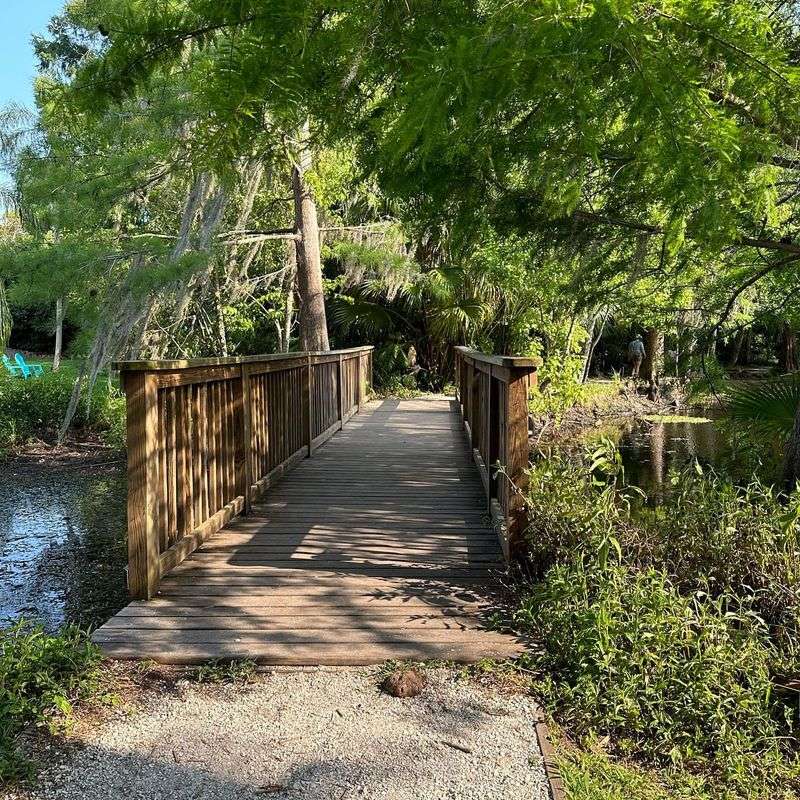 Explore Mead Botanical Garden’s Native Wetlands