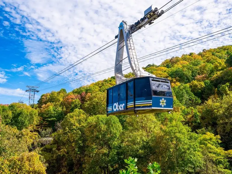 Ride the Aerial Tram to Ober and Spot Treeline Plants