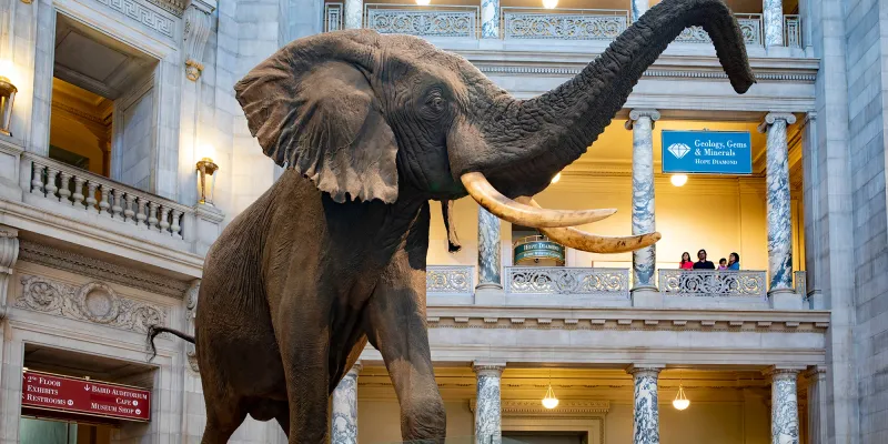 Natural History Museum
