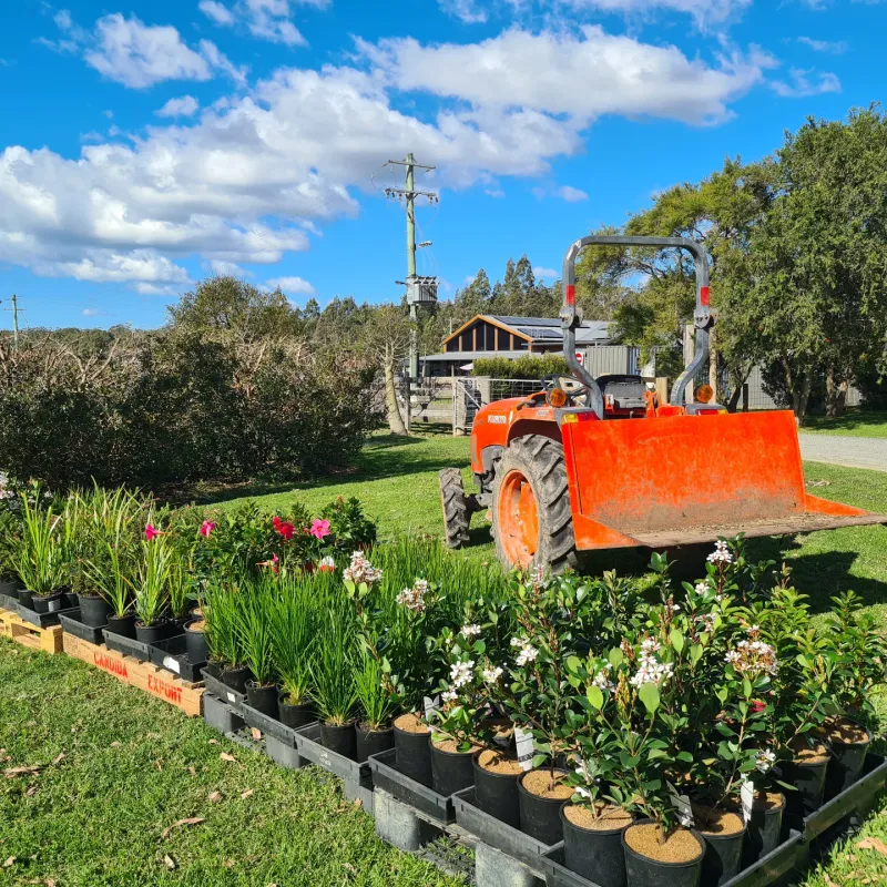 Waitsfield – Farmstands and Edible Plant Beds