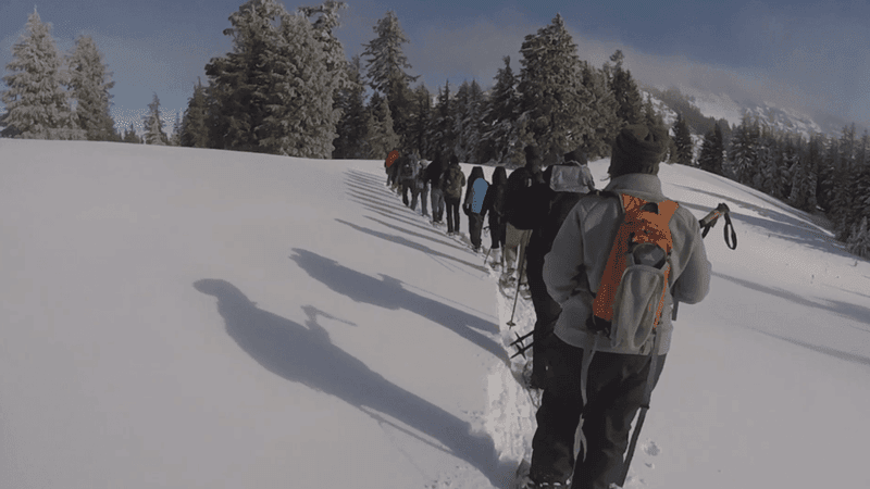 Join a ranger-led snowshoe walk