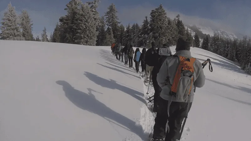 Join a ranger-led snowshoe walk