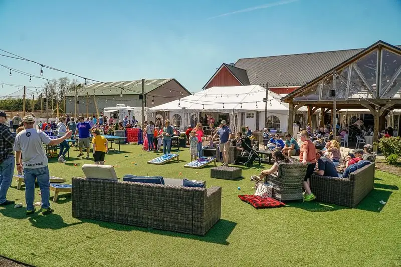 Seasonal Events: Festivals That Celebrate Coastal Life