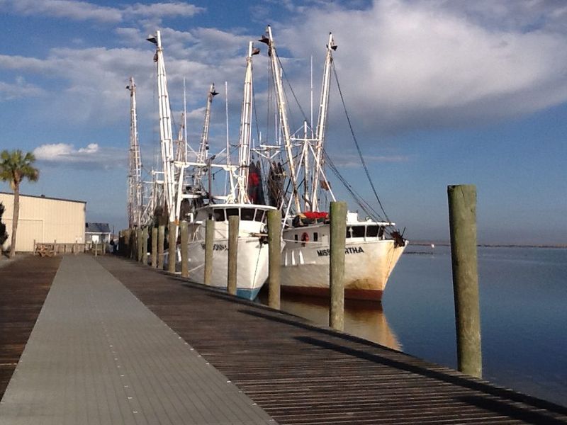 The Local Shrimp Boats Still Matter Here