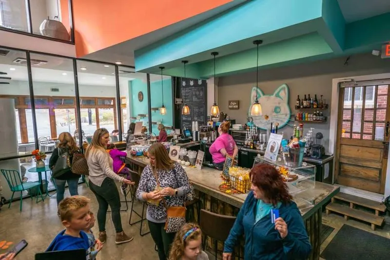 Purrfect Day Cat Café