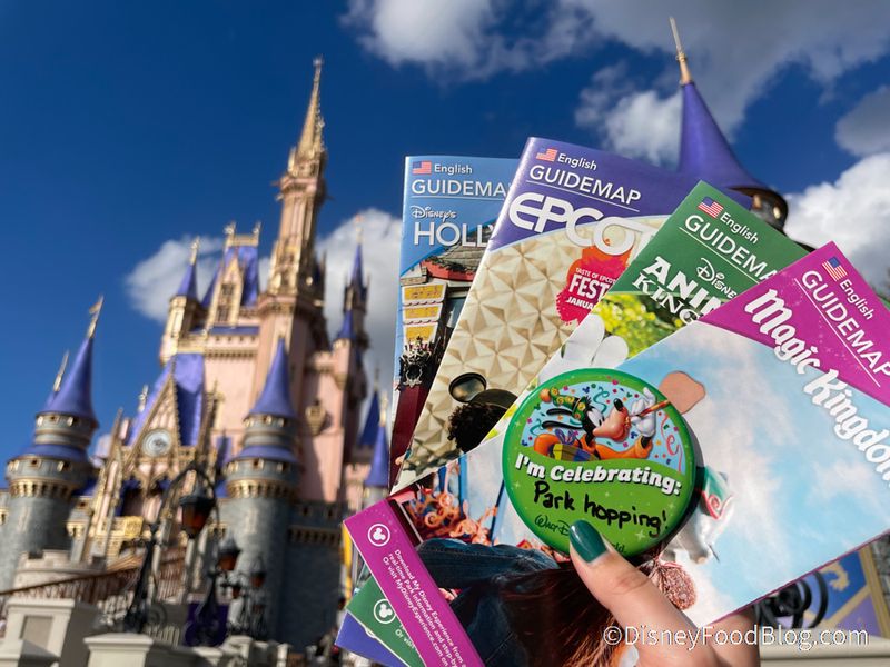 Consider Park Hopper Tickets