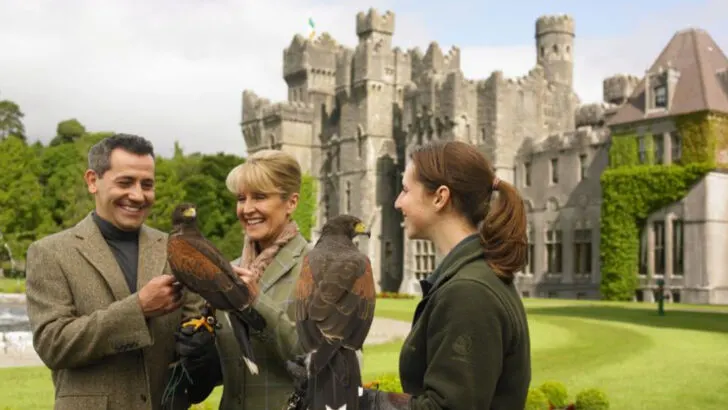 What made my family fall in love with Ireland (castles, falcons, and unforgettable bread and butter)