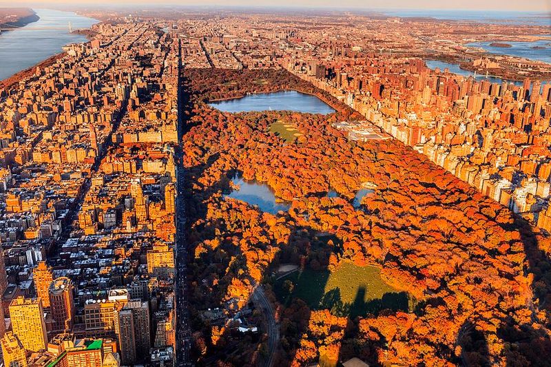 Central Park