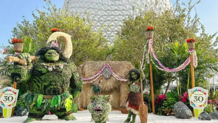 Which Disney World Park Is the Best? Ranking the Parks by Food, Rides, and Atmosphere