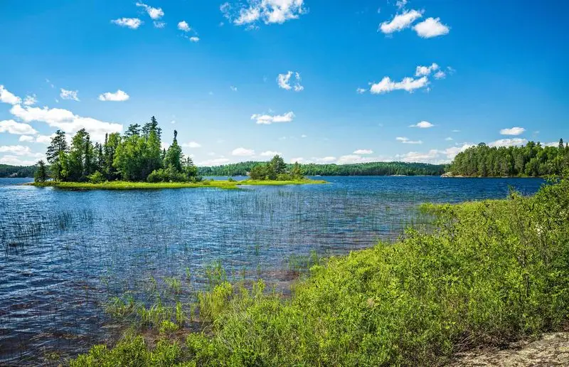 Chippewa National Forest