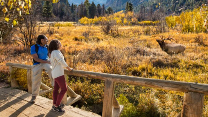 Why Families Are Skipping the Big Parks and Heading to This Laid-Back Gateway Instead