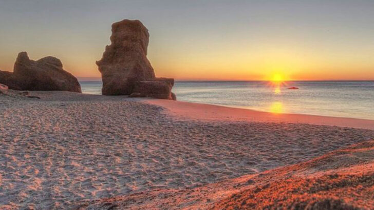 Why Martha’s Vineyard is still one of the best summer escapes in New England