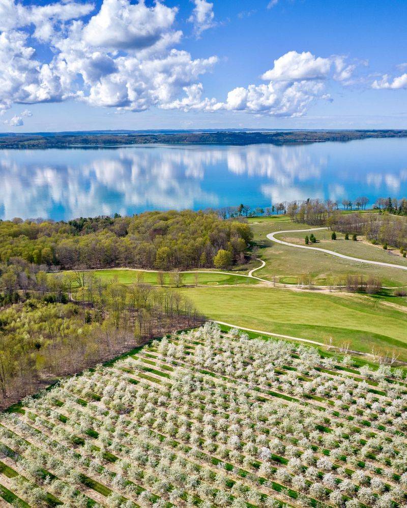 Cherry Orchards Surrounding the City