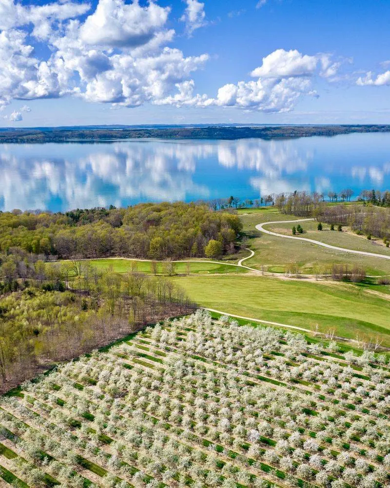 Cherry Orchards Surrounding the City