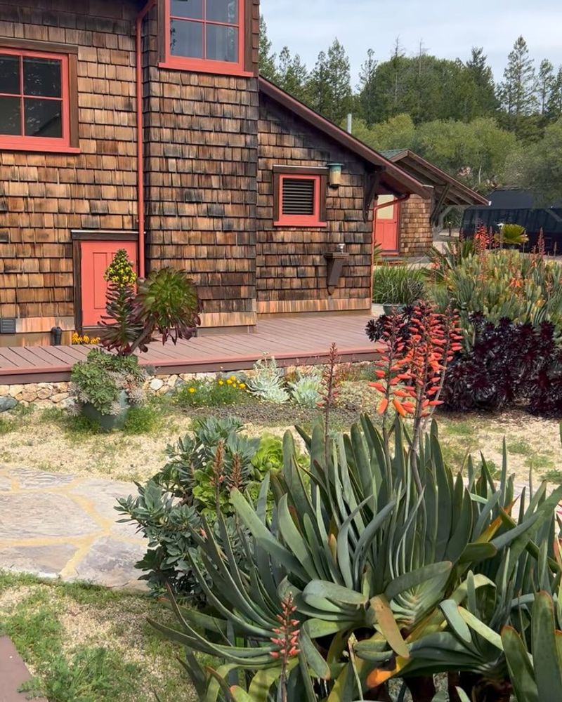 Succulent Gardens by Beachfront Homes
