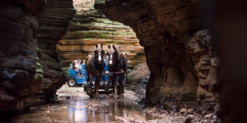 Lost Canyon Horse Tours
