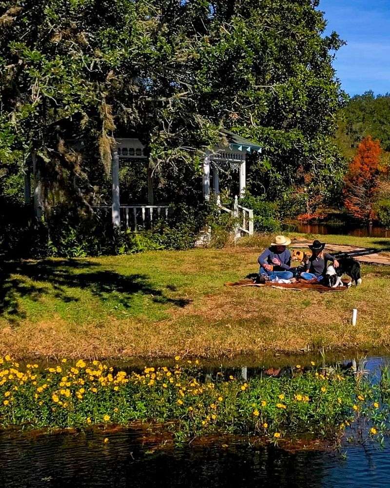 BlissWood Bed and Breakfast Ranch